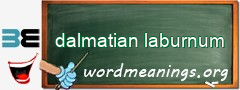 WordMeaning blackboard for dalmatian laburnum